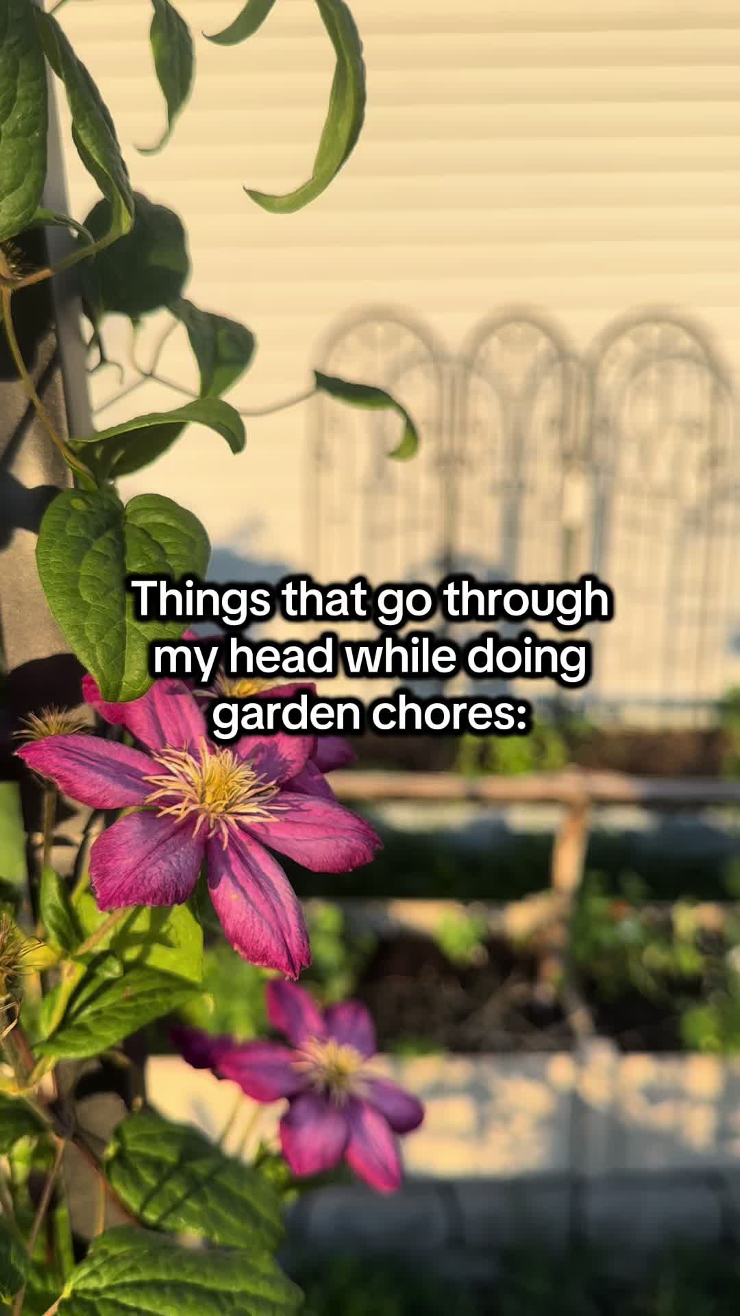 @The Bitchy Gardener - Jess 🍉