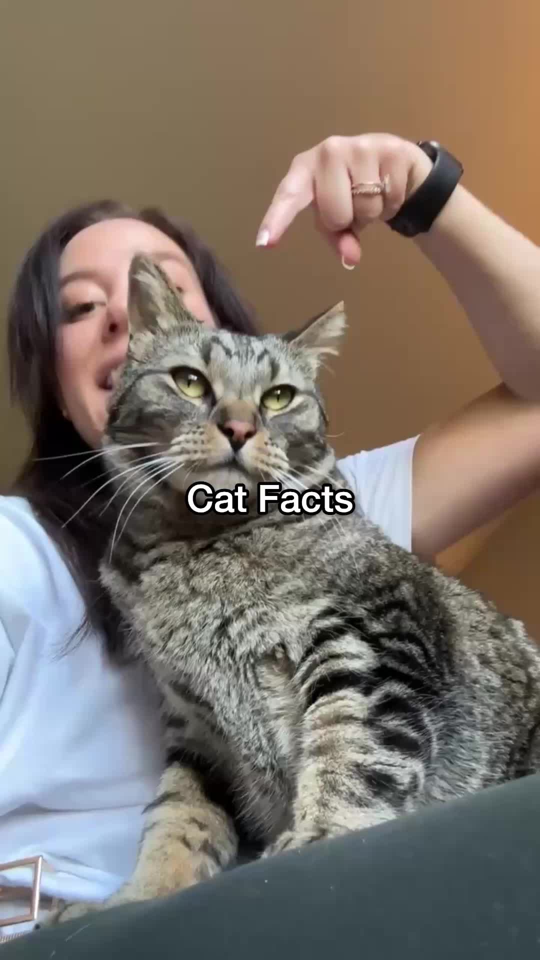 @Chip The Manx