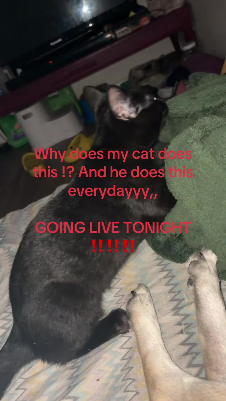@Macdaddyhersh