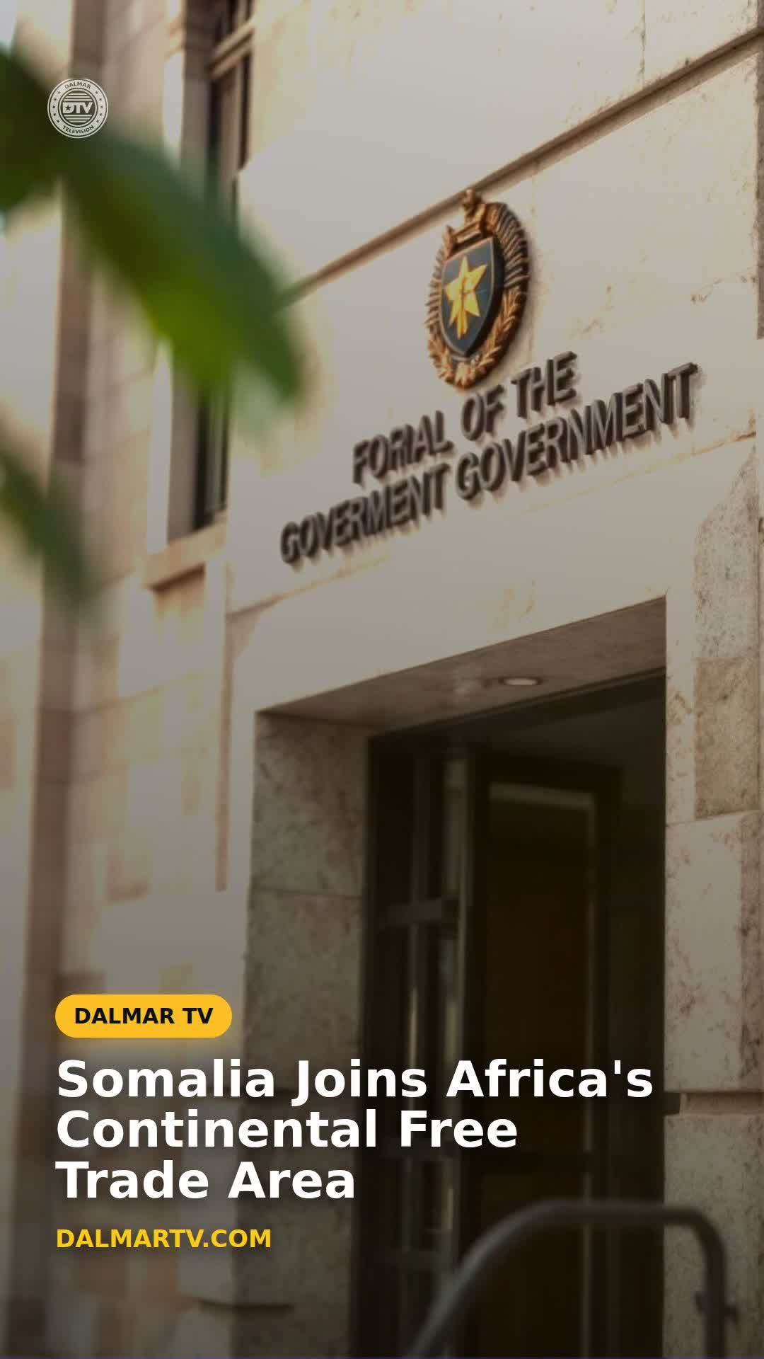 @DALMARTV