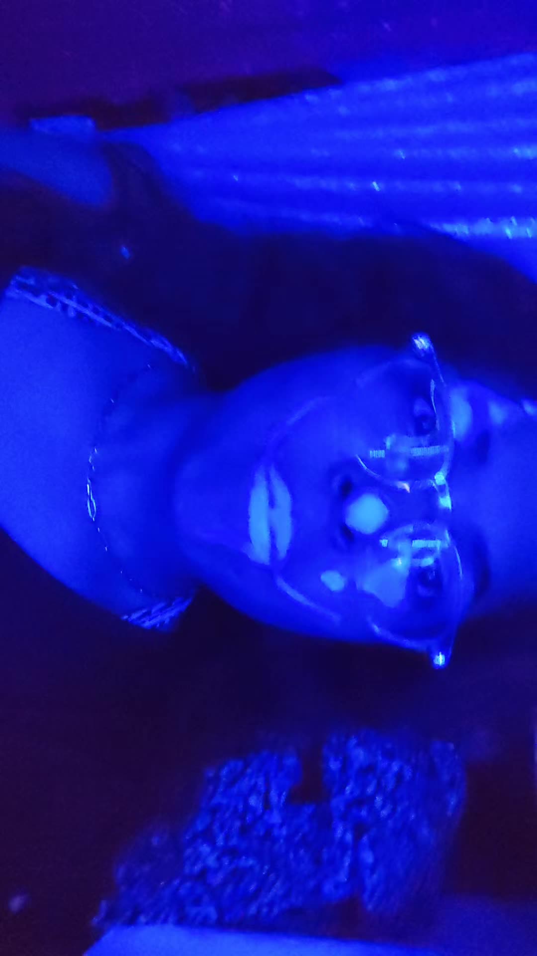@josephinedih