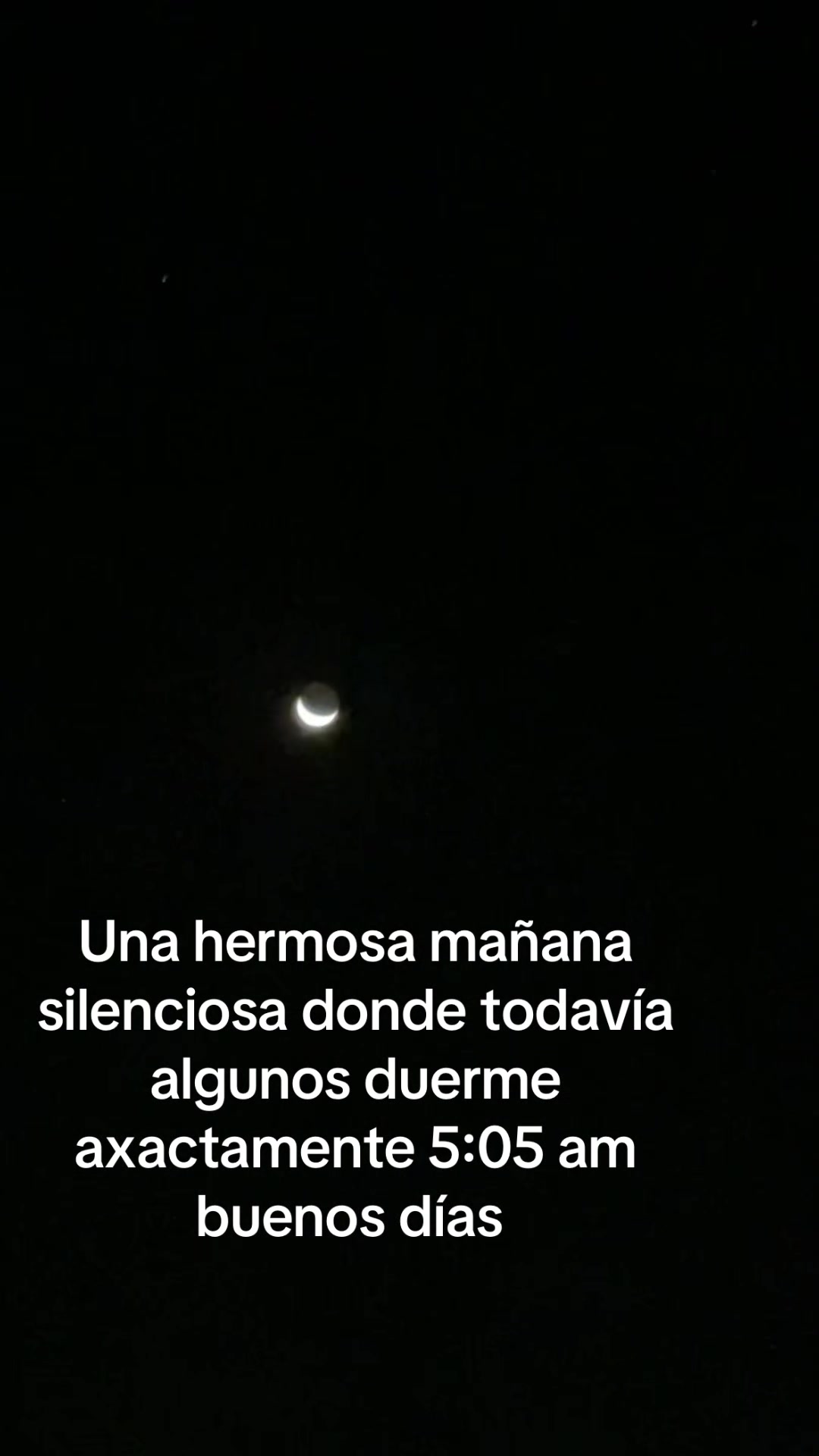 @Alma Baez295
