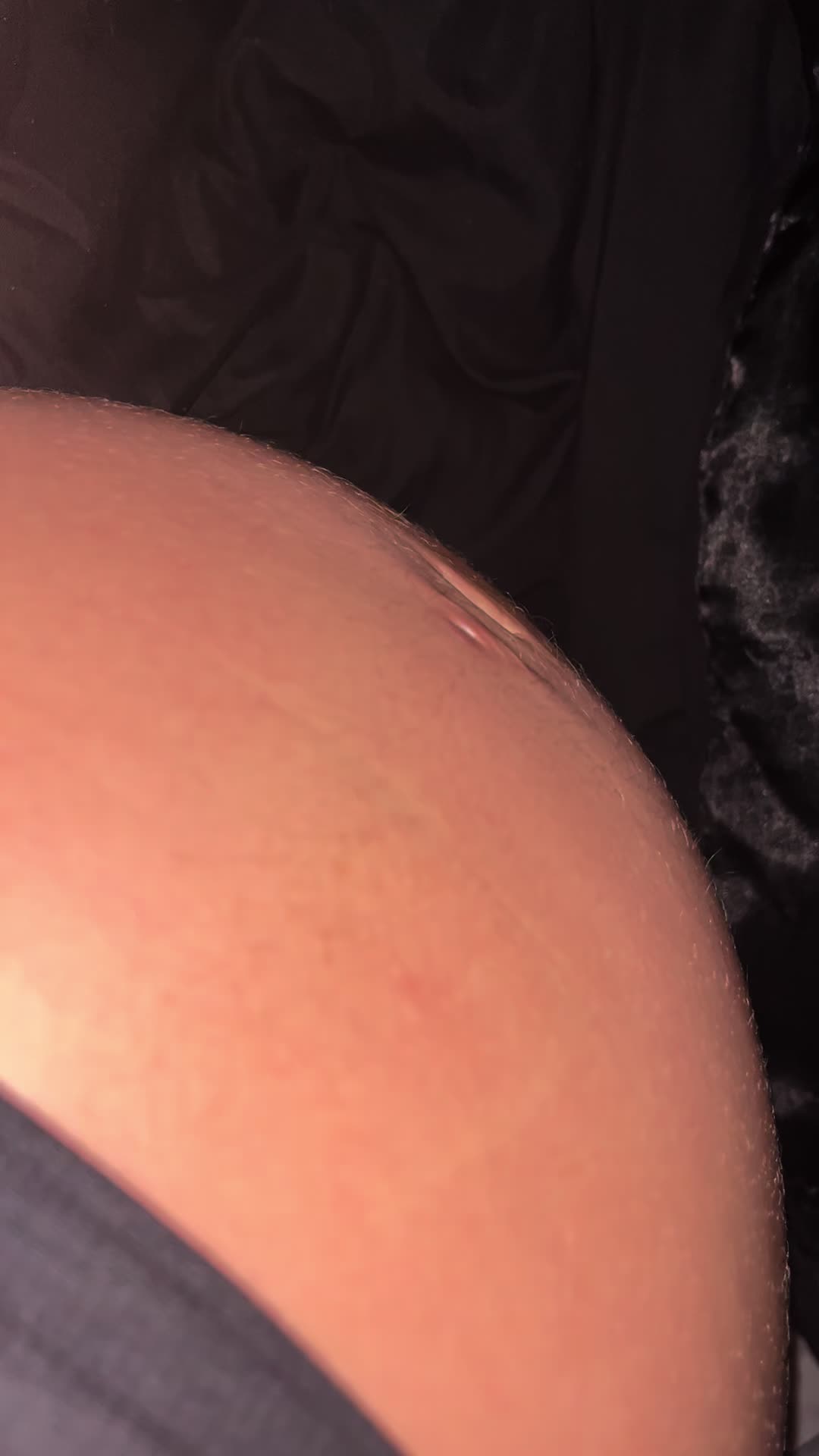 @lizvette