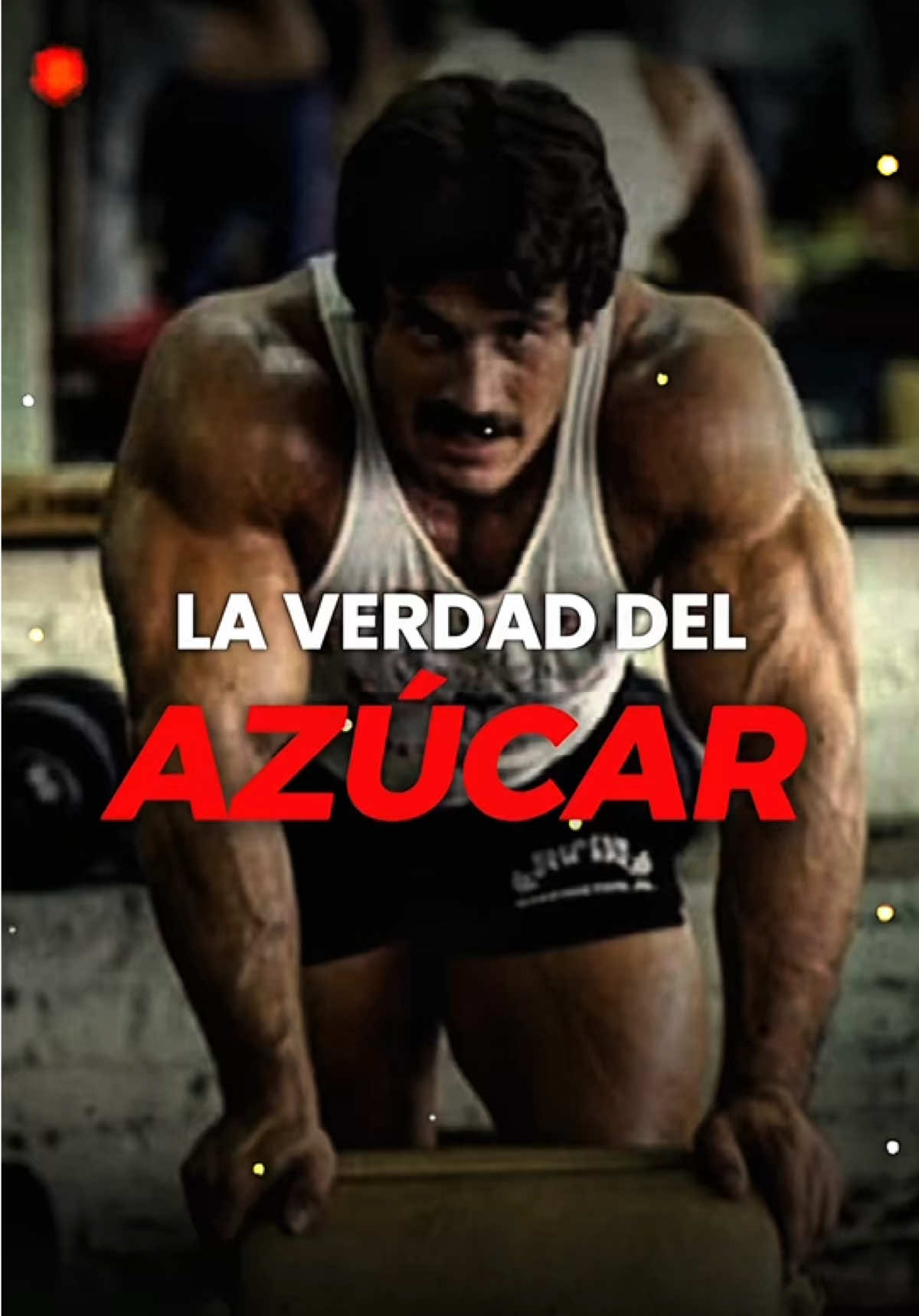 @TEMPLOFIT | Heavy Duty Moderno