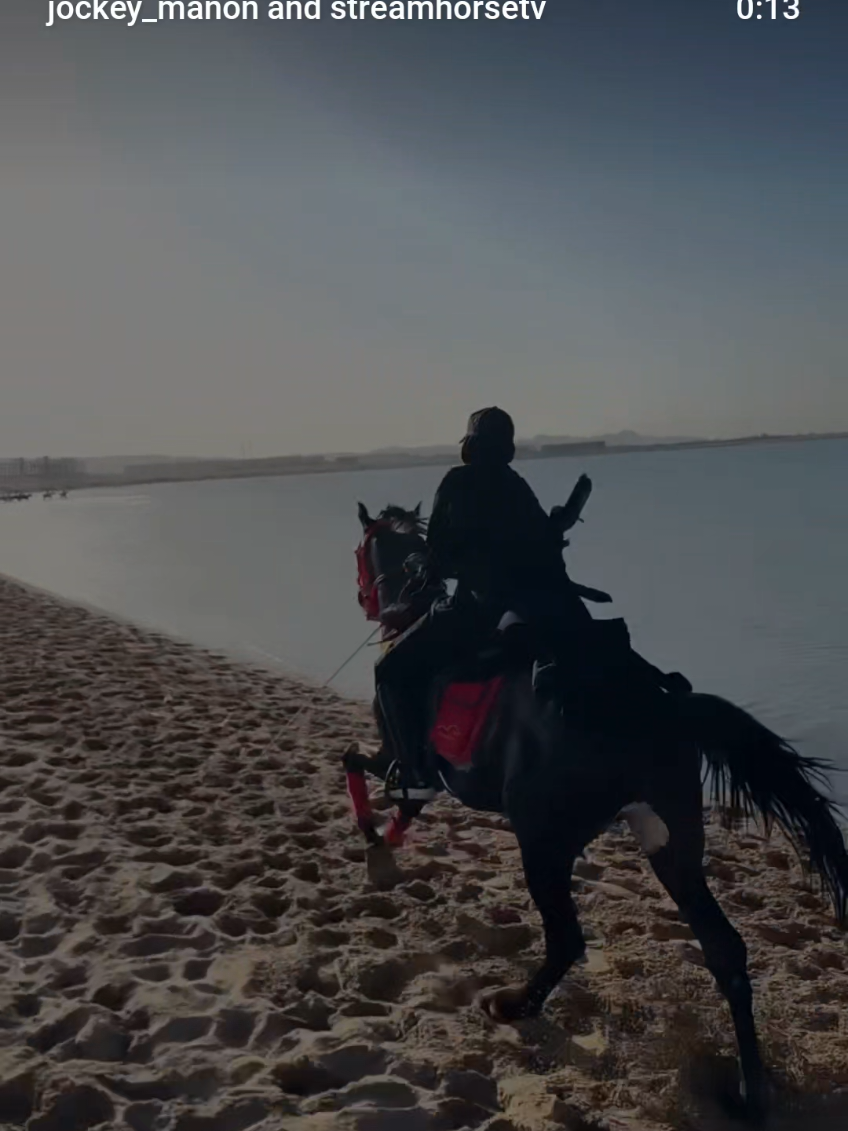 @streamhorse
