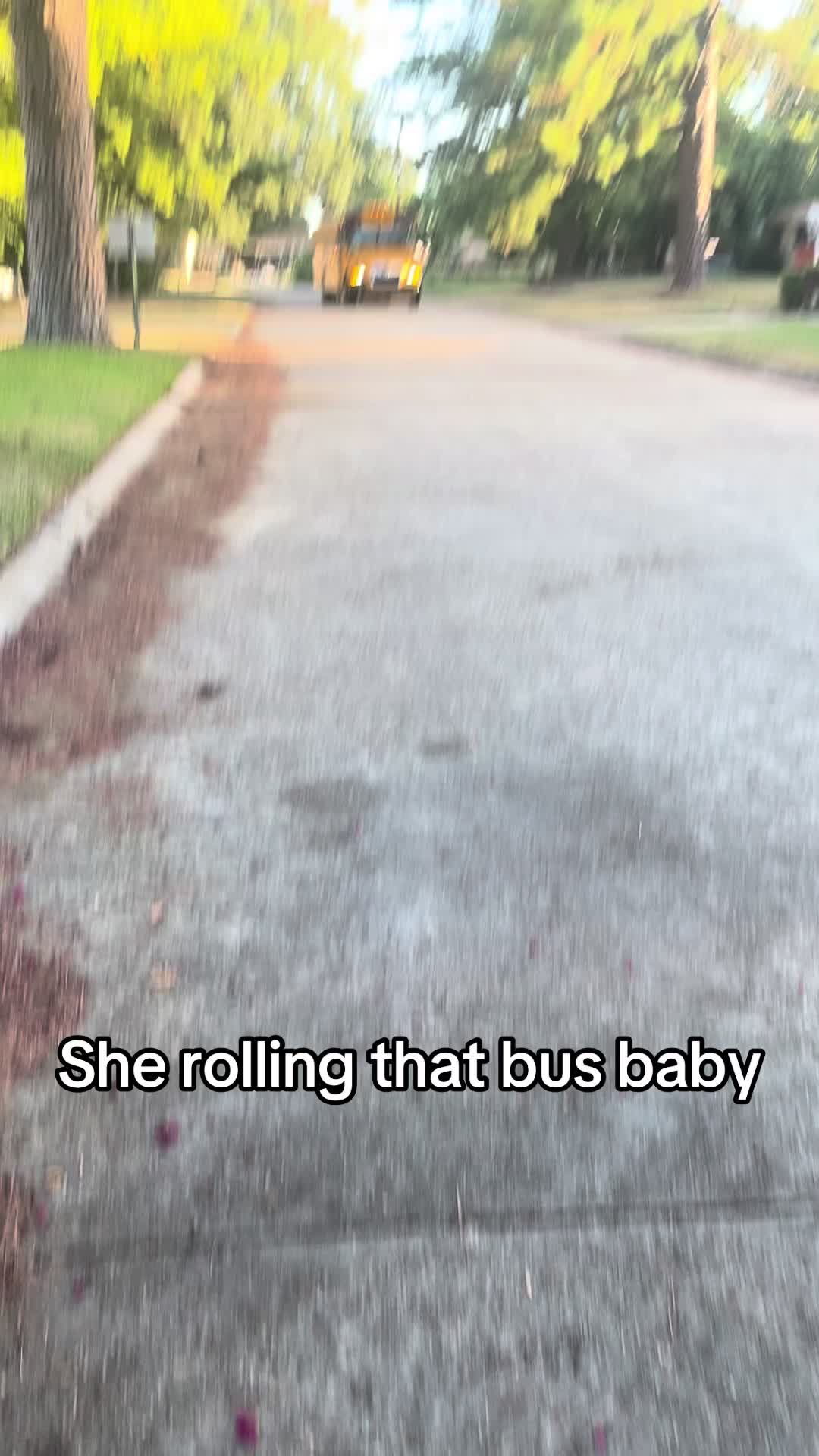 @Bluebirdbus302
