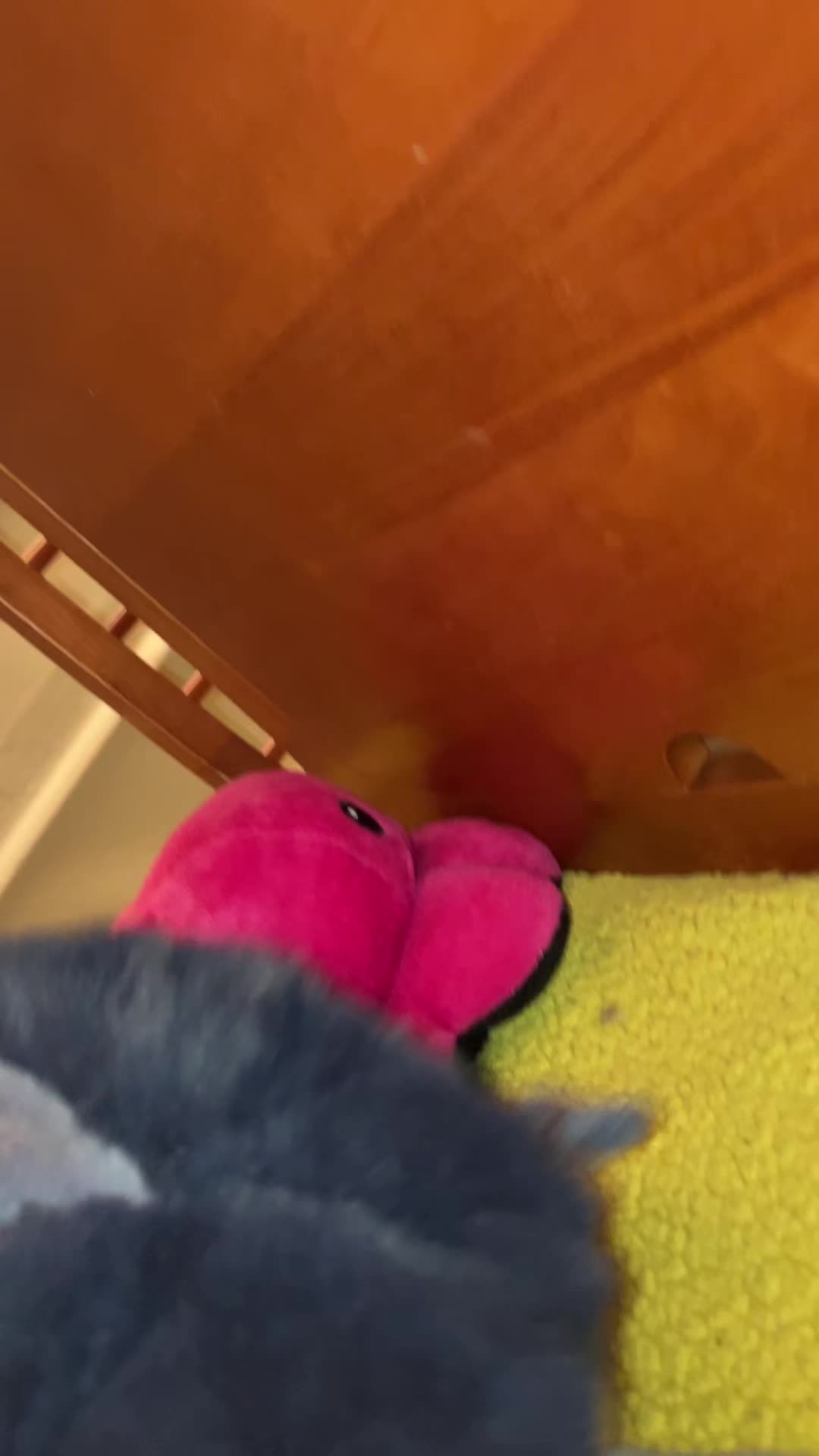 @Jaxception🏳️&zwj;🌈