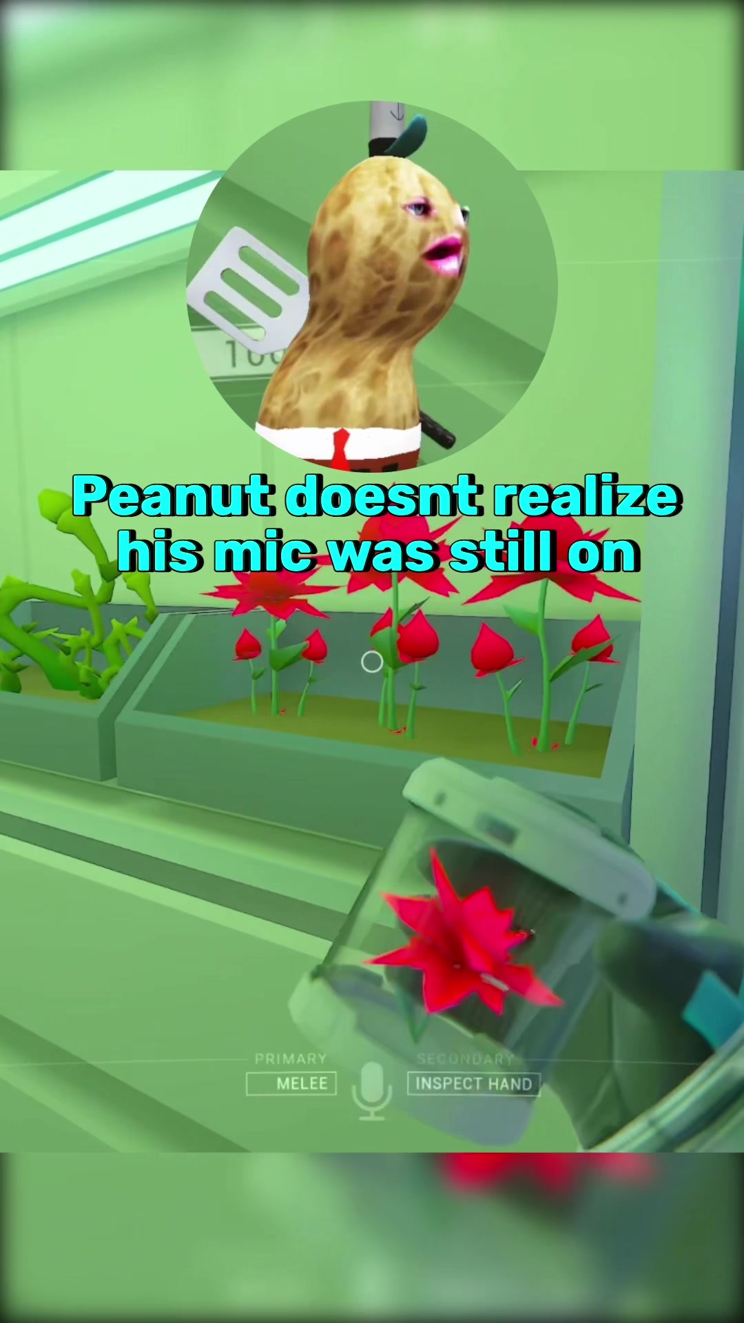 @PeanutClips_Daily
