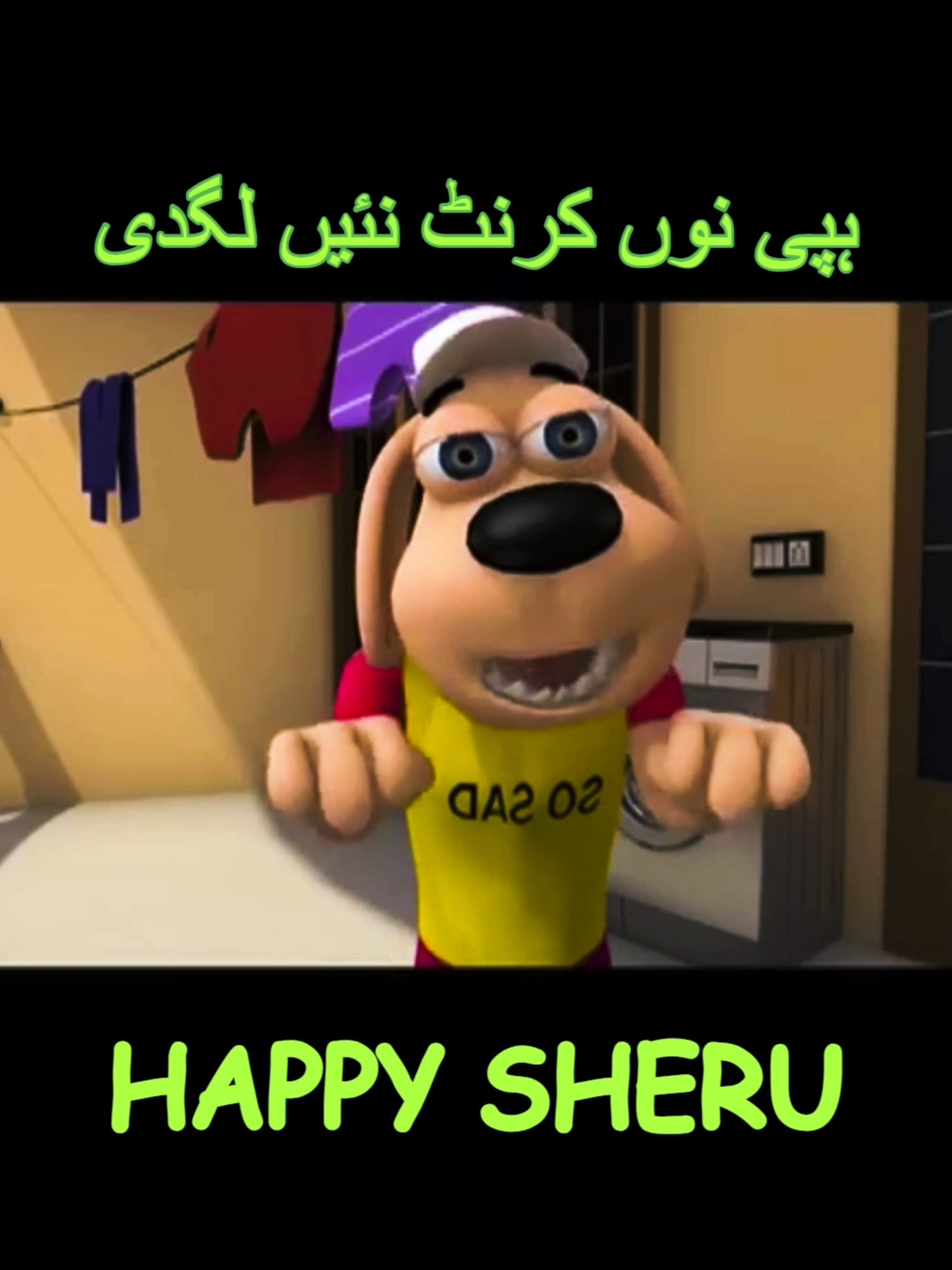@Happy_Sheru_Official