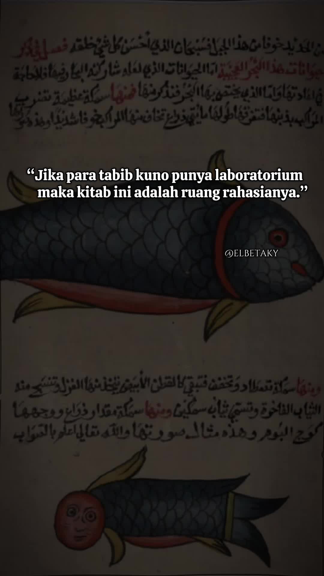 @elbetaky
