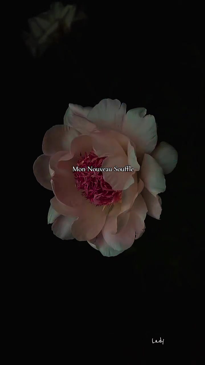 @touchsignature