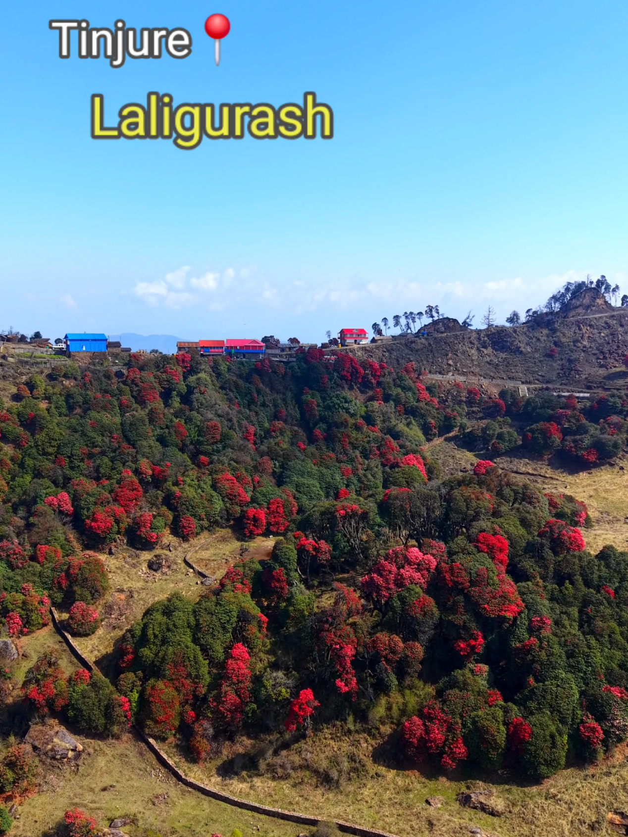 @Nepali Rider