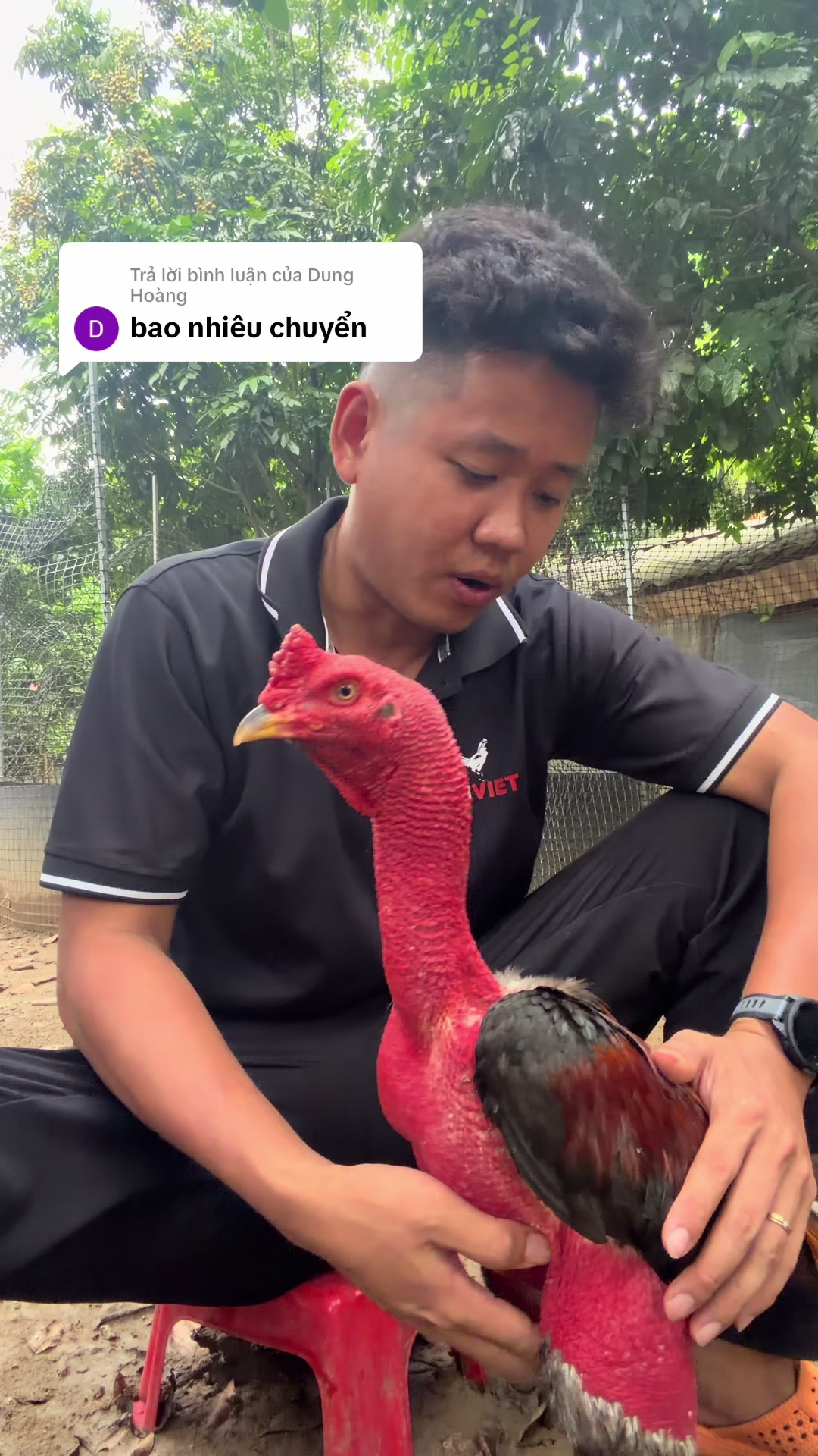 @Quyền Ba V&igrave;