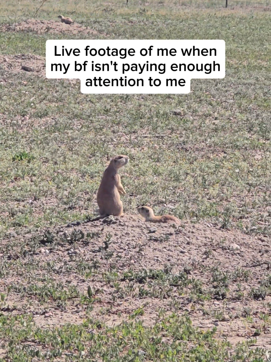 @That Vegan Flight Attendant