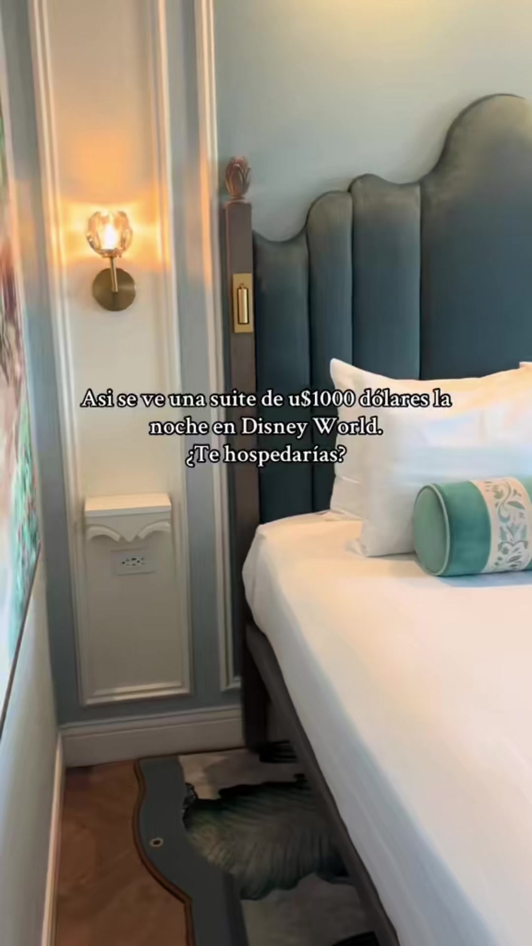 @LAURA RIVAS