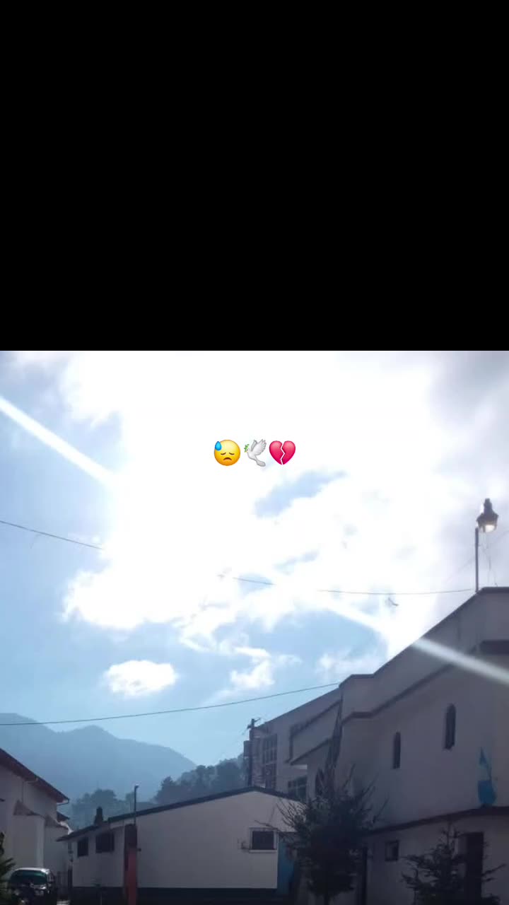 @Y-olii 🫧