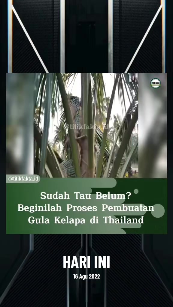 @Titik Facts