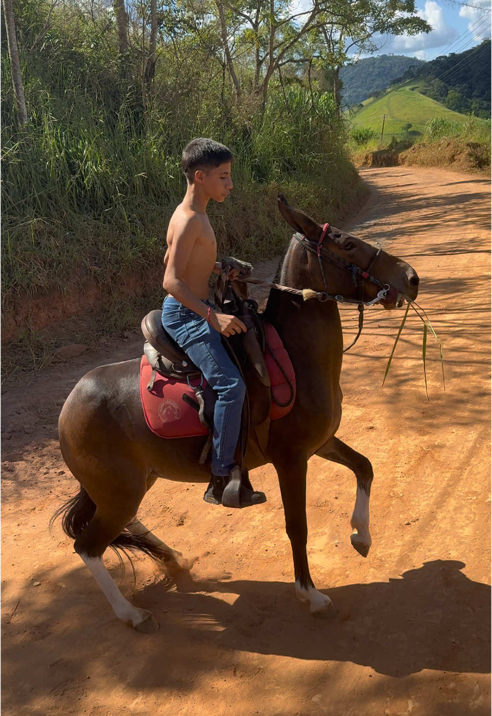 @Geisa Vitória