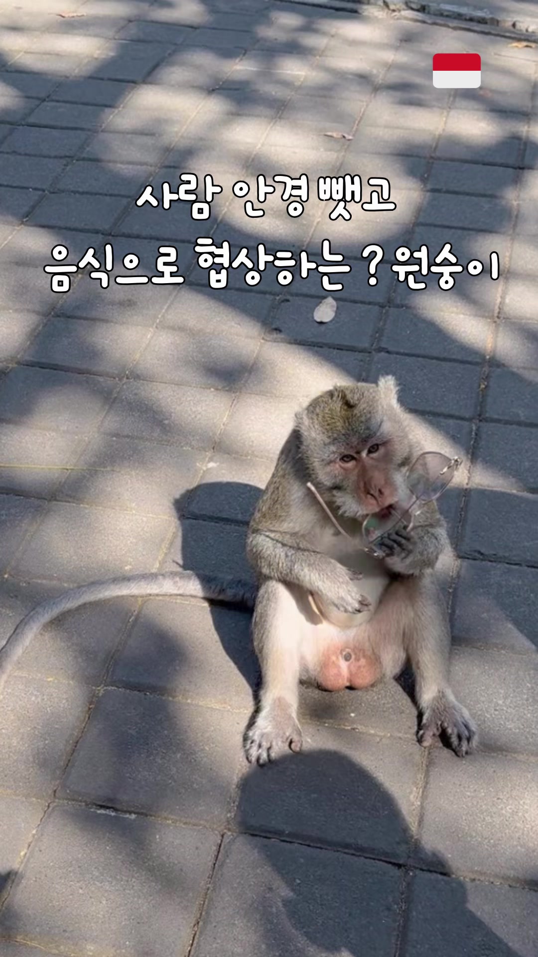 @bbang.trip