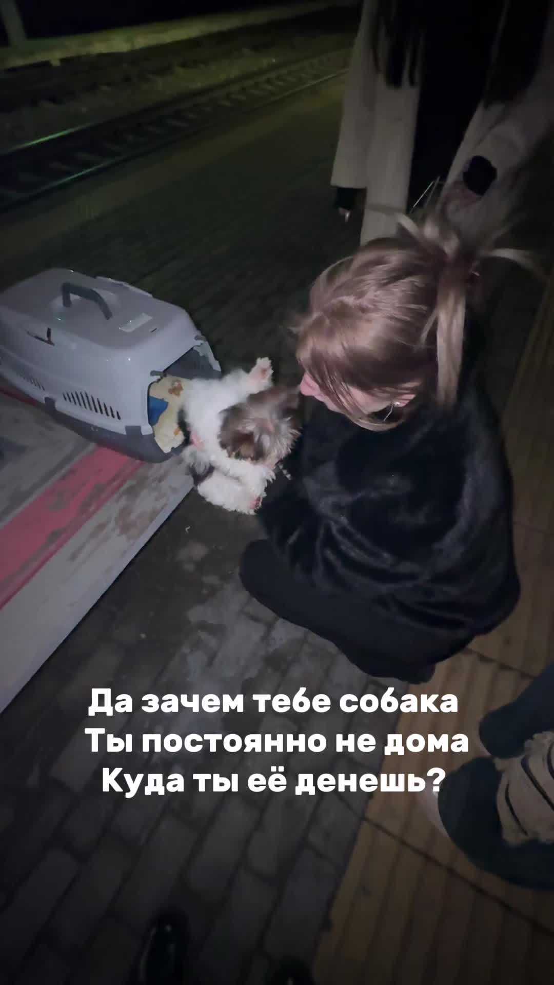 @тгк: панюта на связи