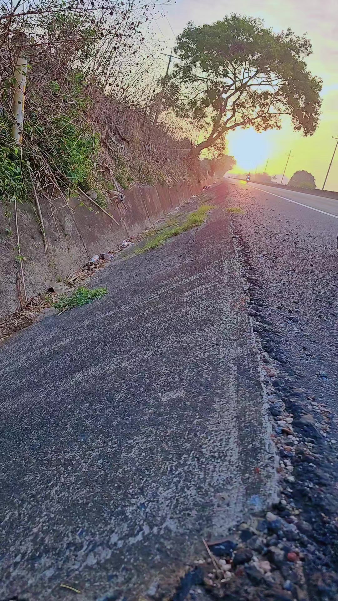 @alex💯 🧃la rojita❤️🔥🇸🇻