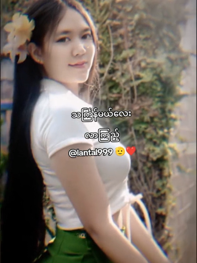 @တယ်လီလင့်💕