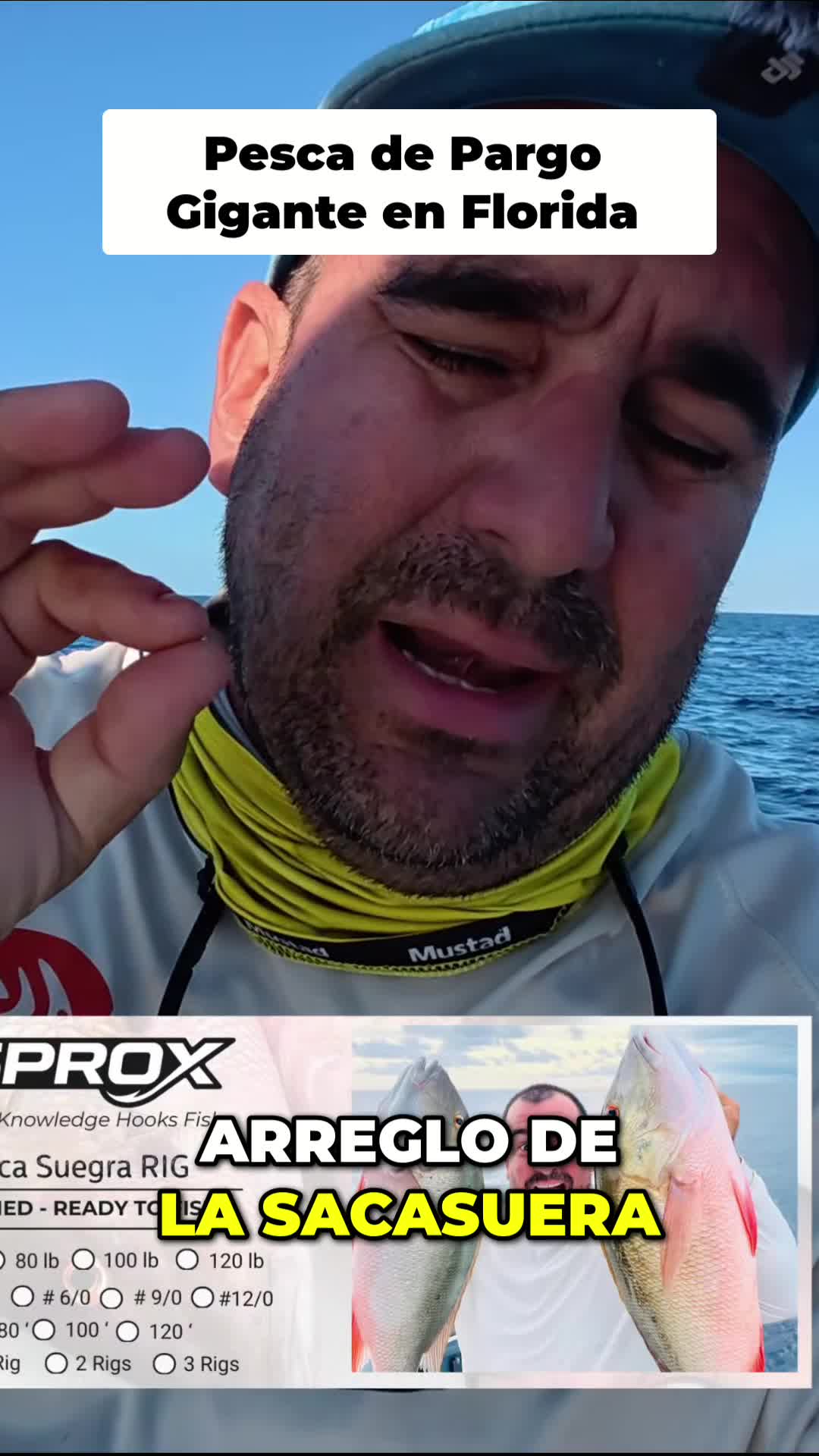 @Raul-Raul