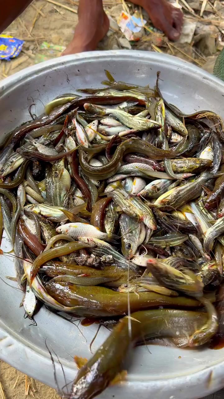 @đŋjasimđāĻĒā§āϰāĻā§āϤāĻŋ đāĻĒā§āϰā§āĻŽāĻŋđŋ