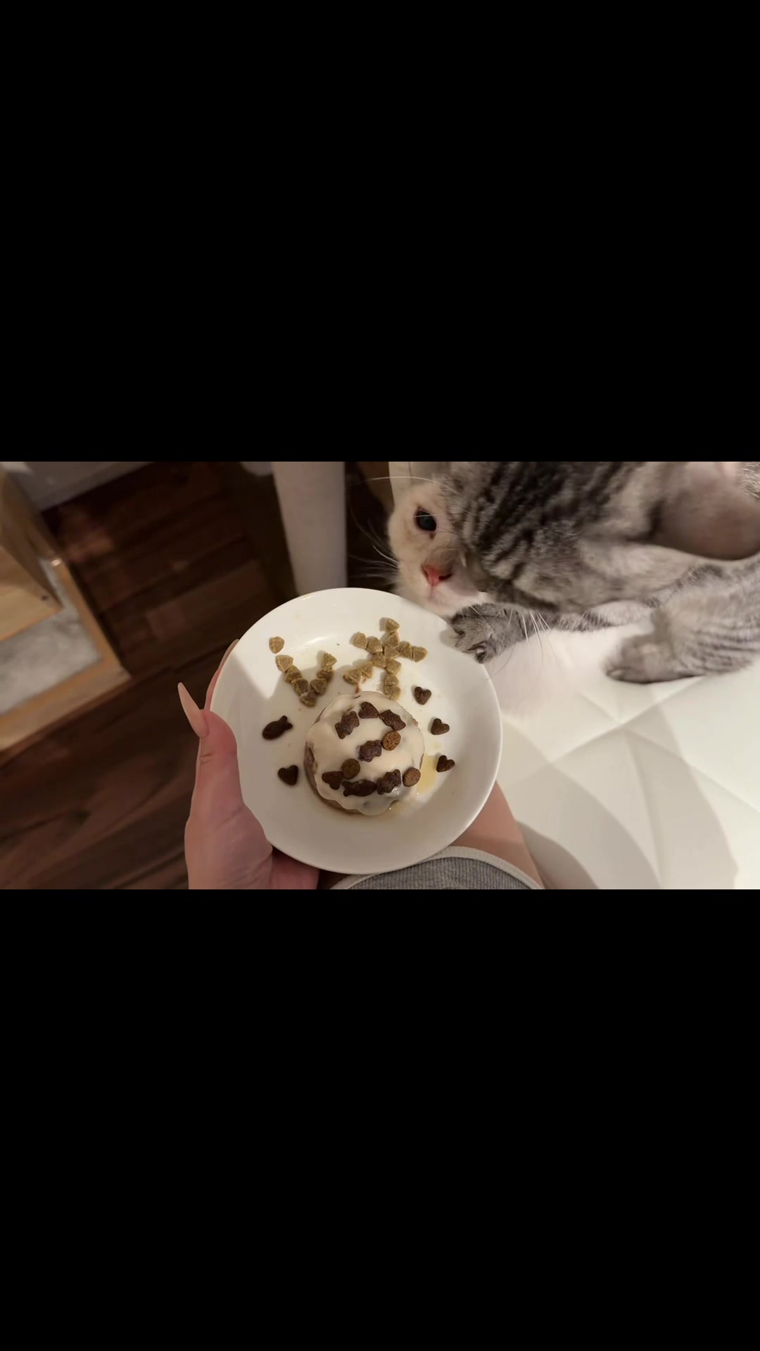 @ねこは神