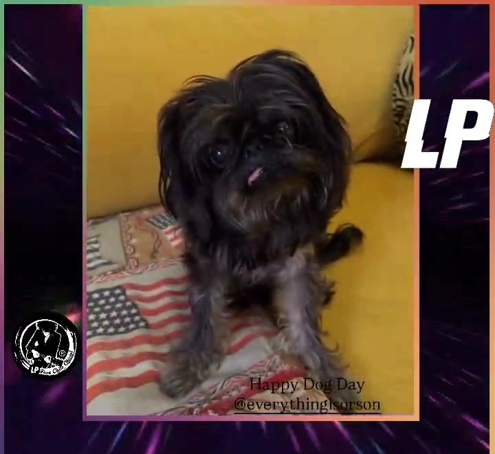 @LPFansChileOficial