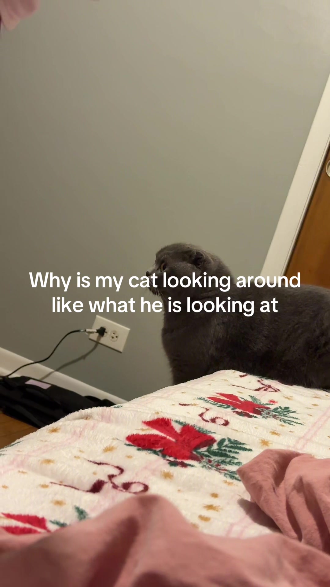 @ALINA