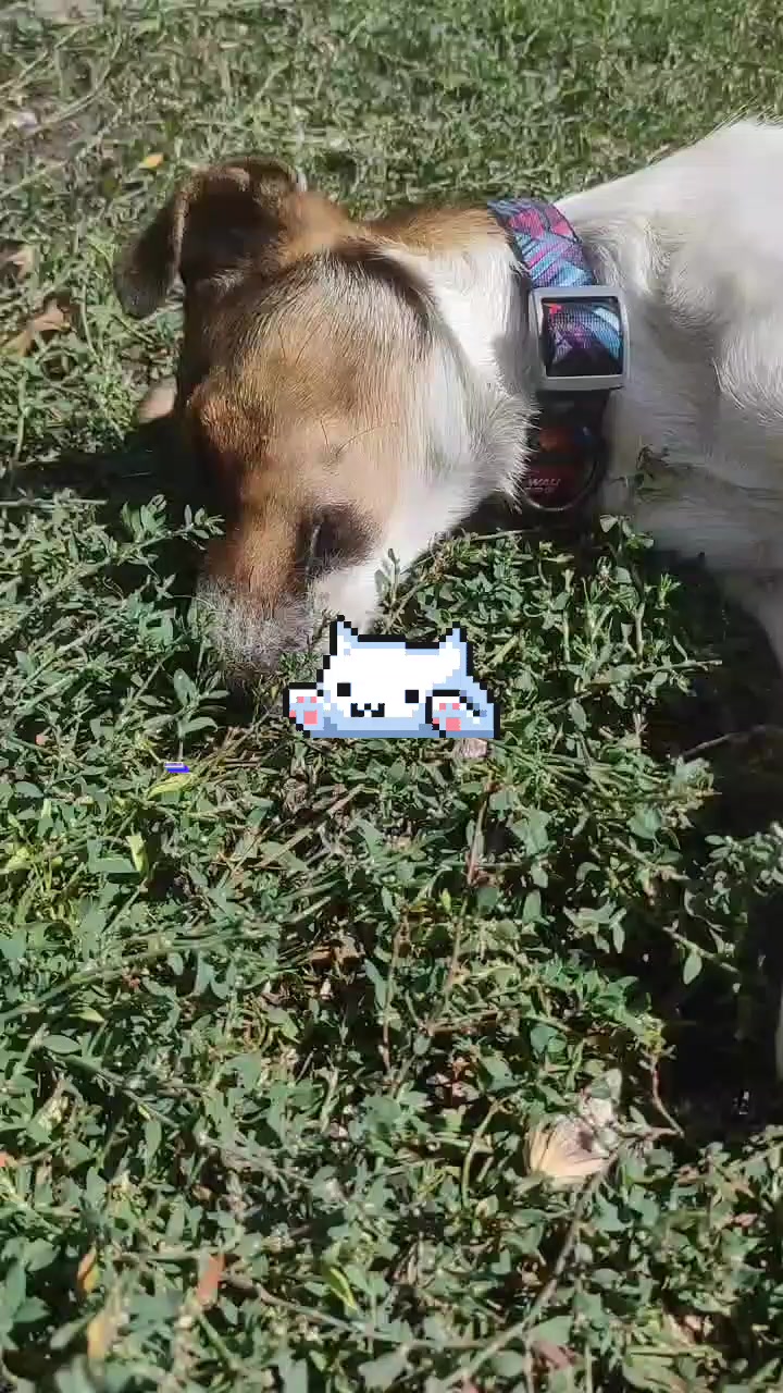 @𝘑𝘦𝘳𝘳𝘺🥏𝘢𝘪𝘳