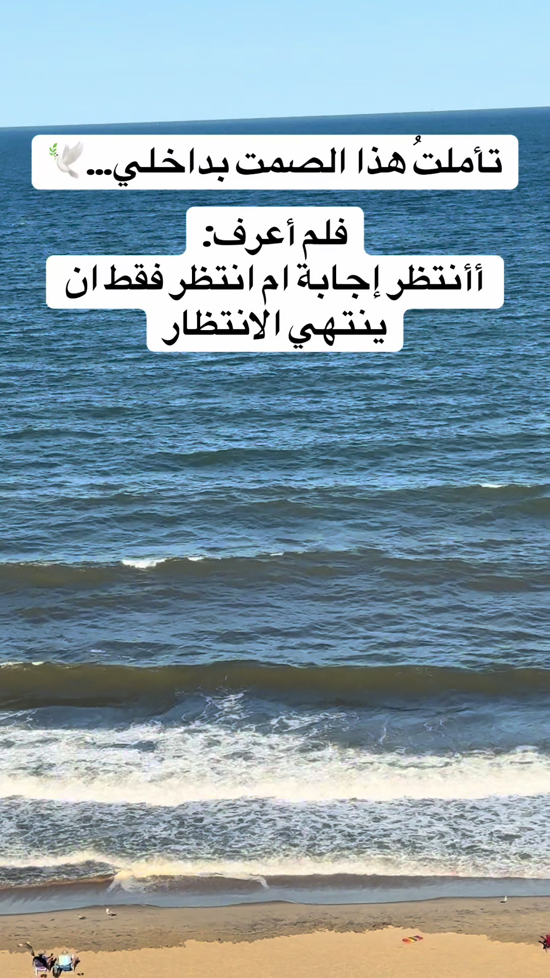 @The Lion 🪽 خاطره في دفتري