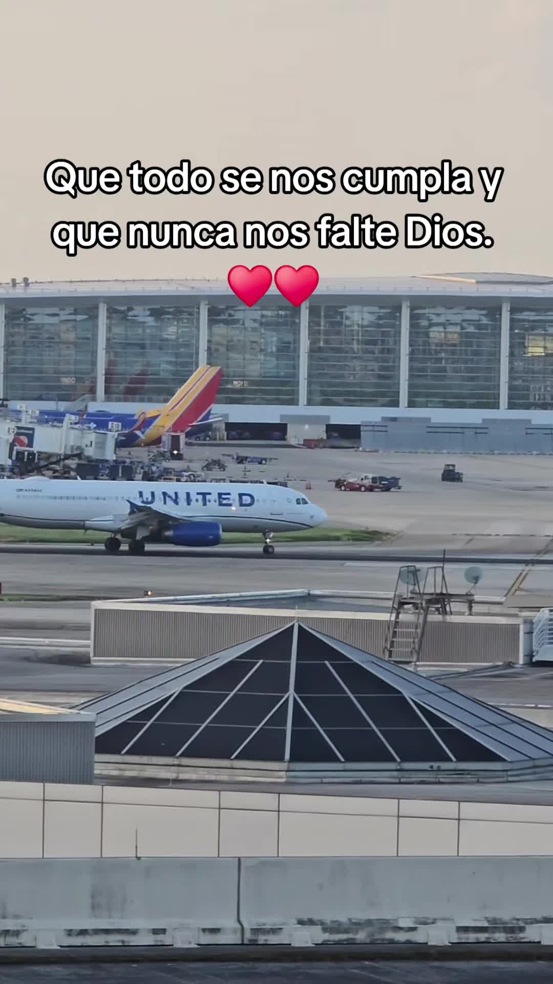 @Consentido ✈️✈️