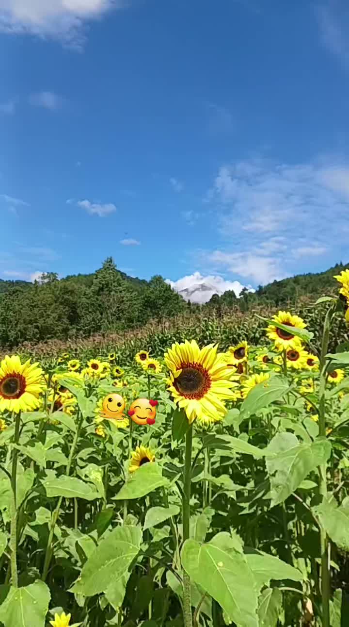 @martinmmm777