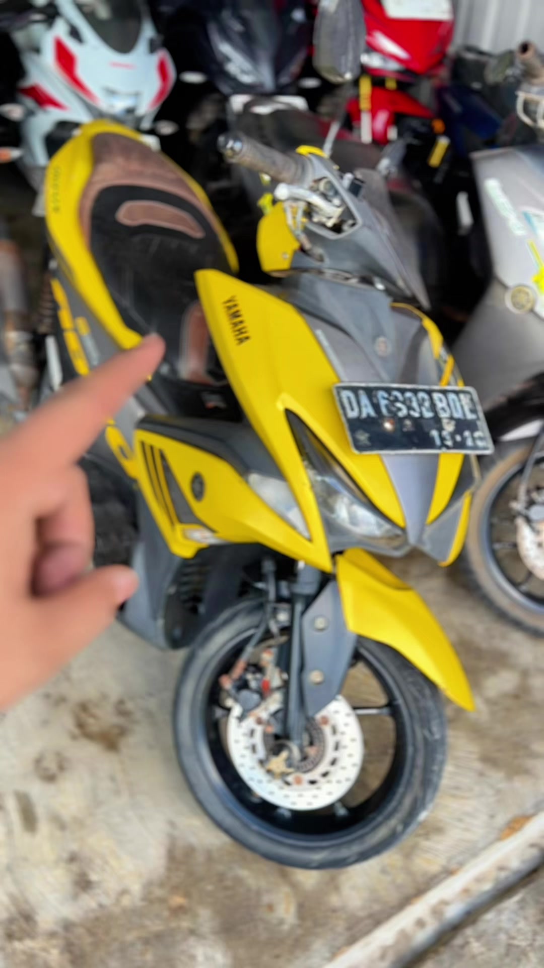 @pengepulmotortim