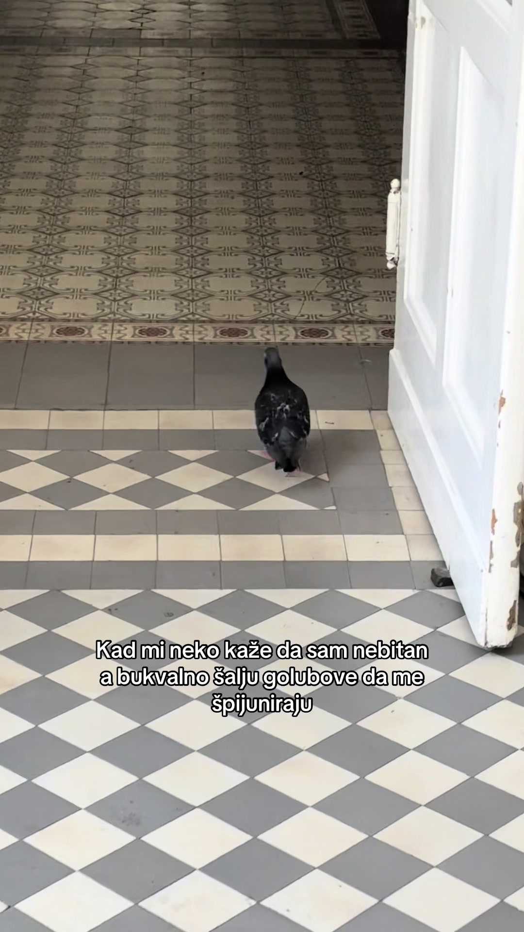 @DUCI