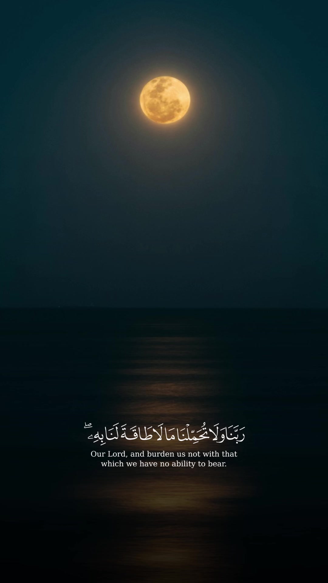 @Muslima