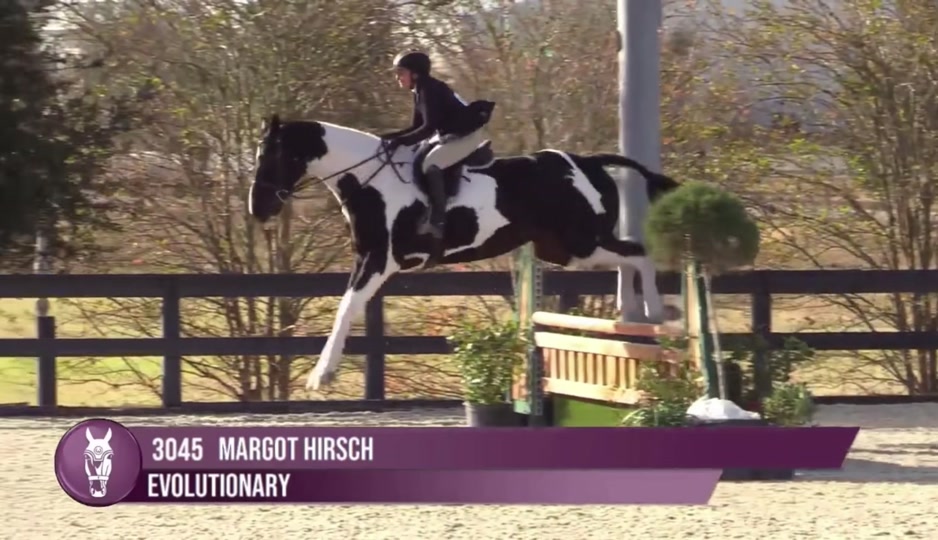 @Margot Hirsch, DVM
