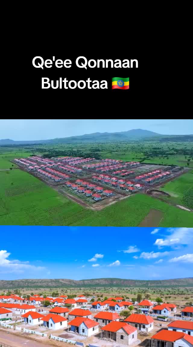 @Shimallis Abdisa Parody