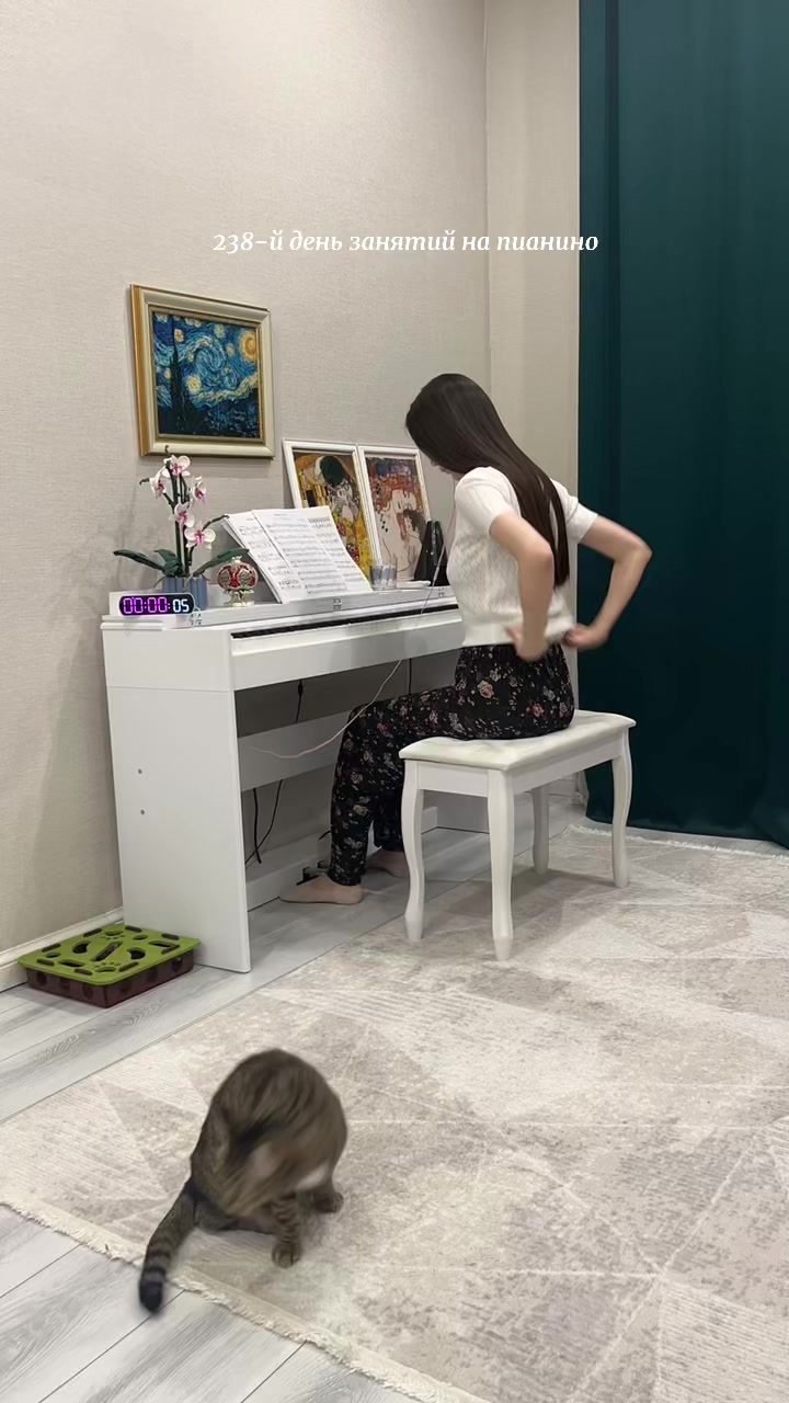 @365 days of piano