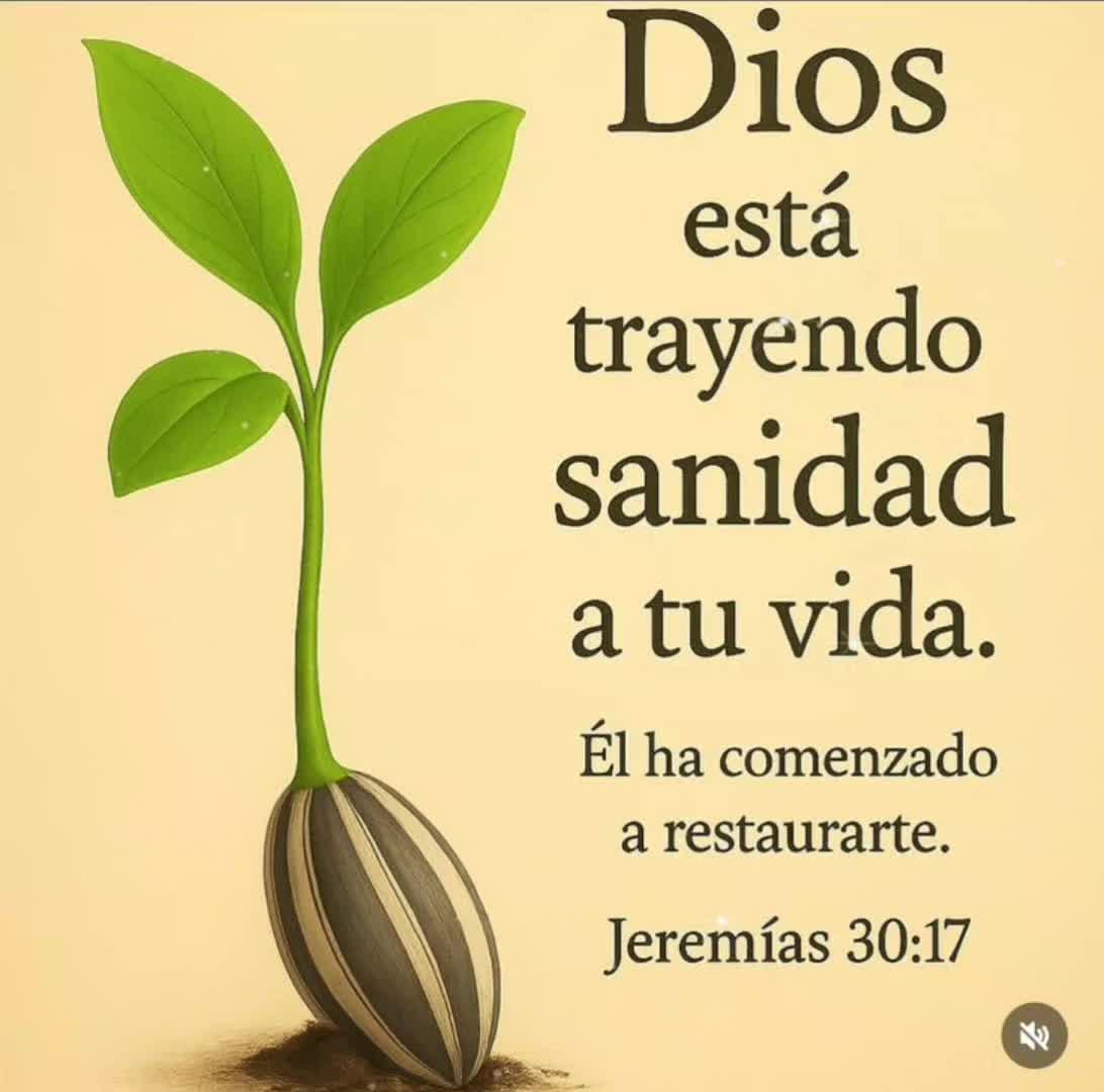 @Sonia M