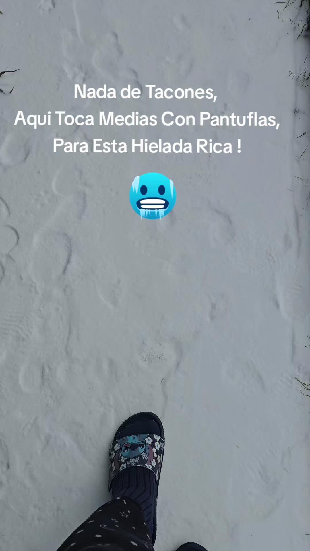 @Mila Burgos Lugo