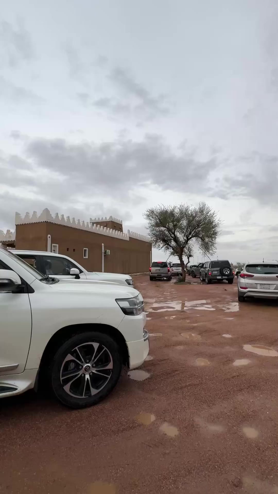 @لمـى ٓ | Lama
