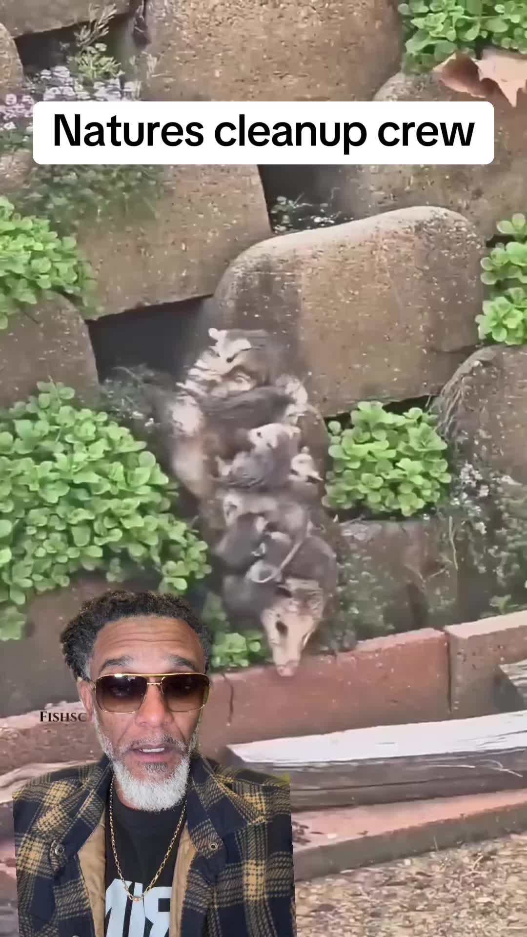 @Fishscaleous