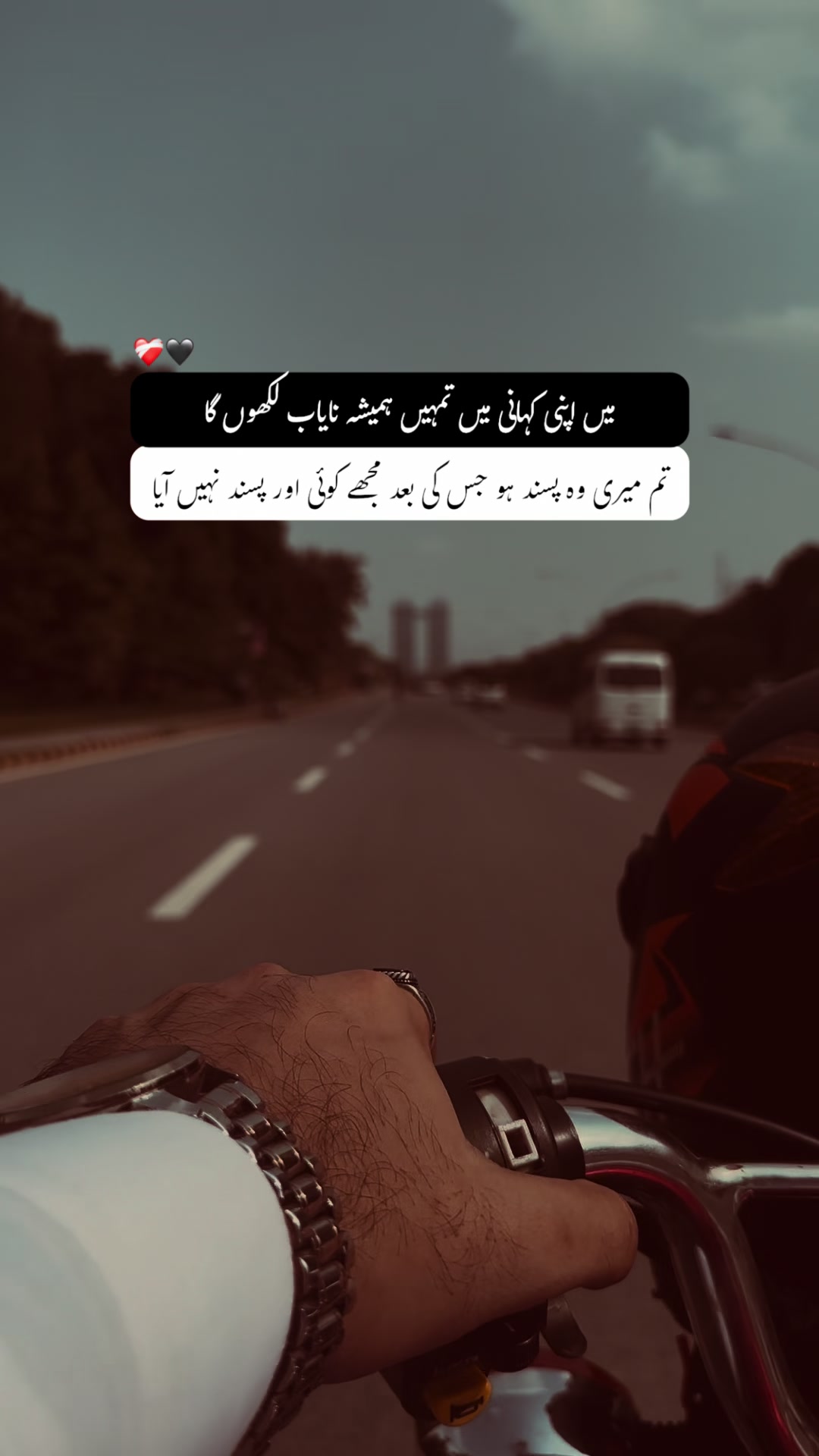 @𝐖𝚯𝐋𝐅 🐺