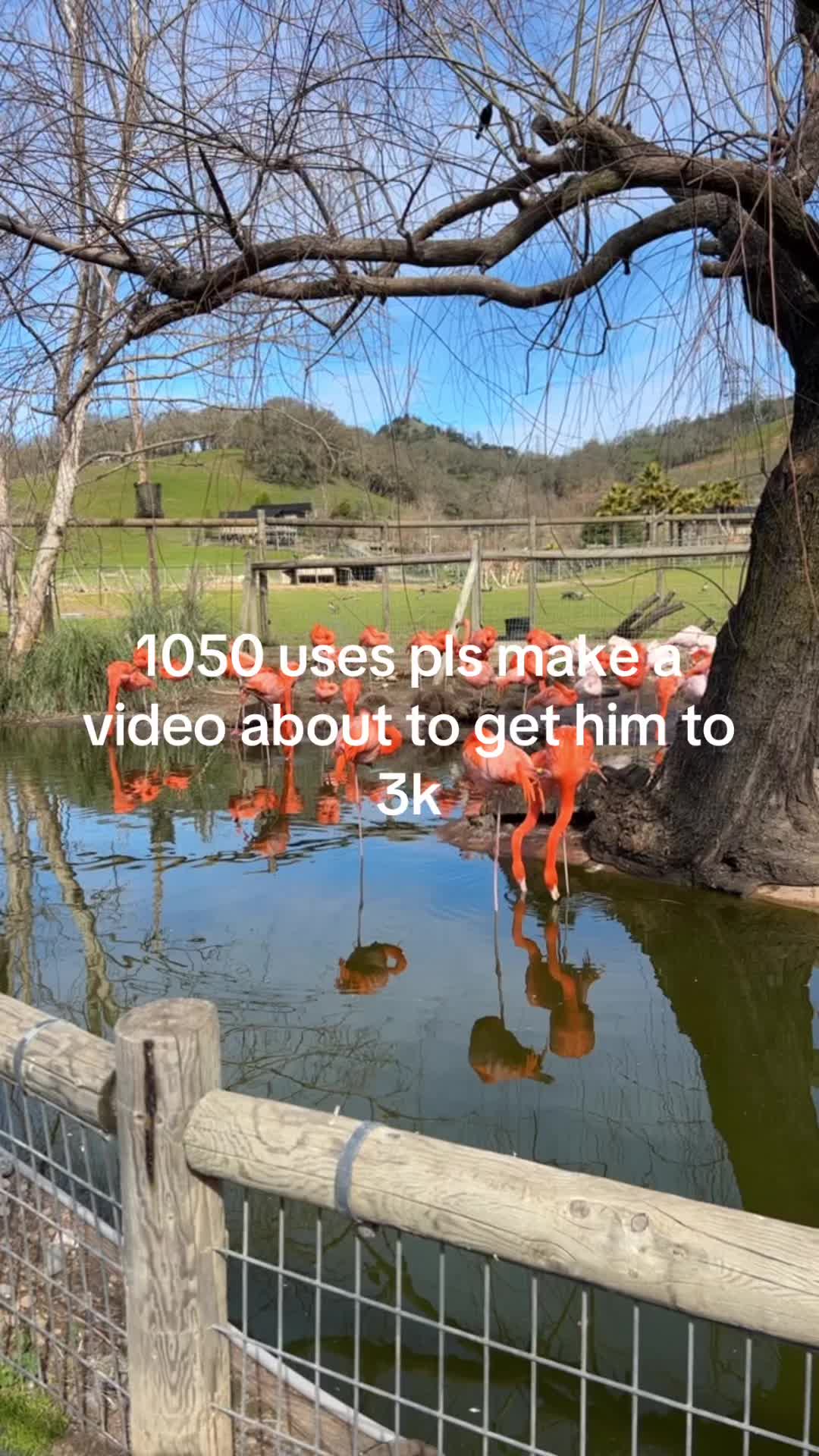 @ju1cyjcant