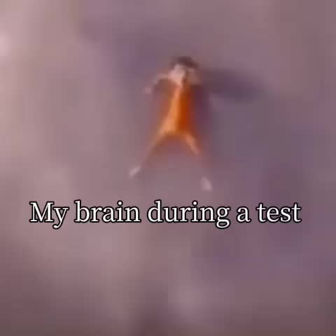 @๐๐ข๐ ๐ฆ๐จ๐ง๐ค๐ฒ๐๐๐