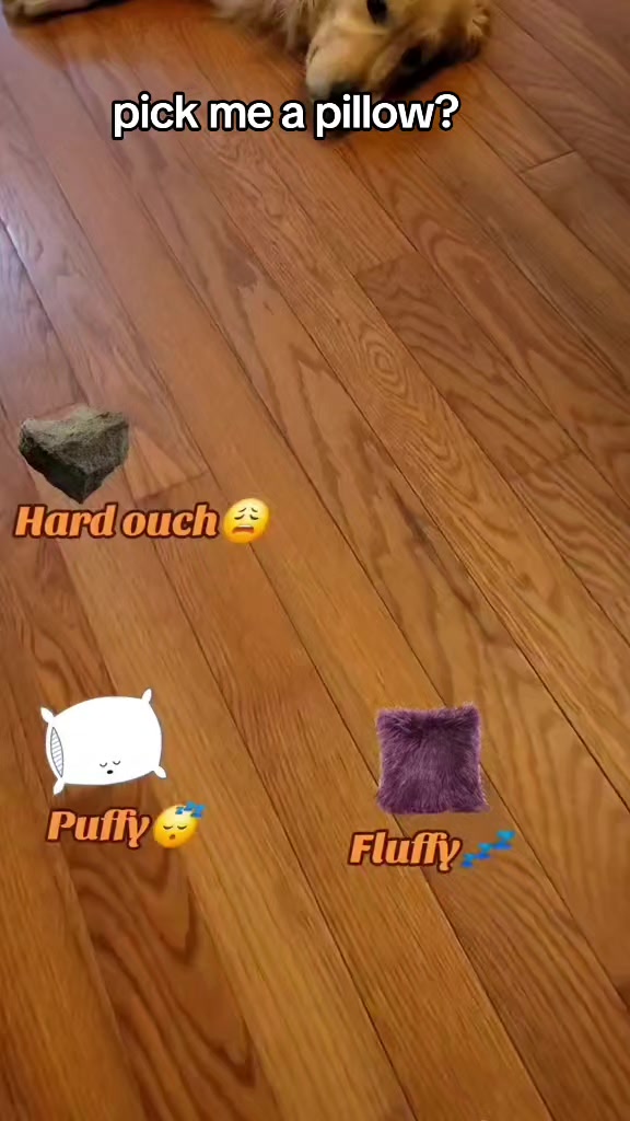 @🐶Griffin