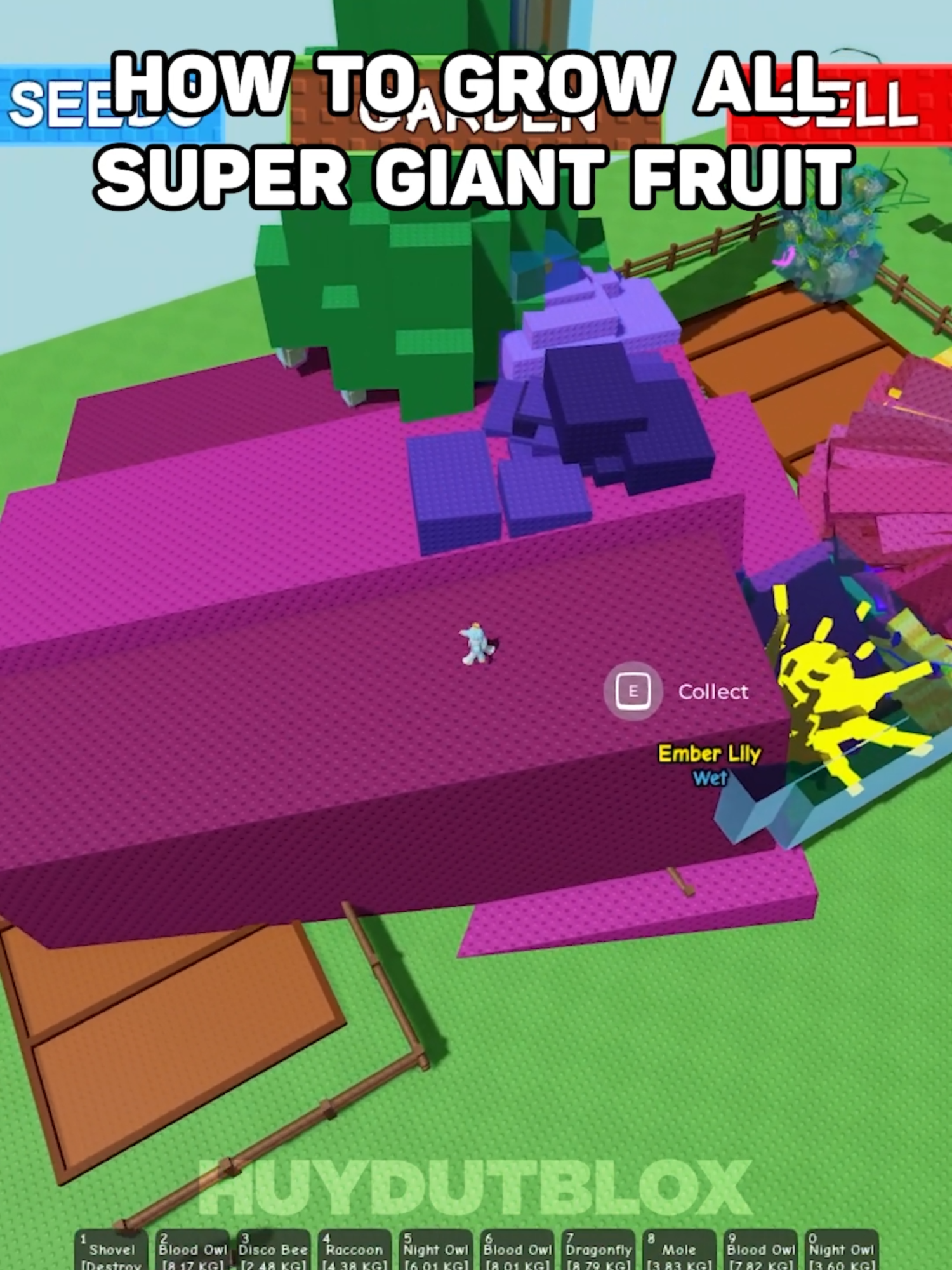 @Huy Đụt Blox